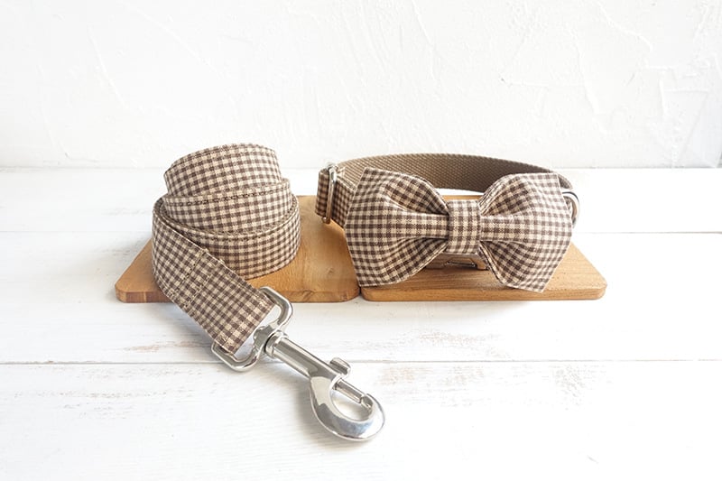 Teddy Dog Pen Pet Leash Set Image 1