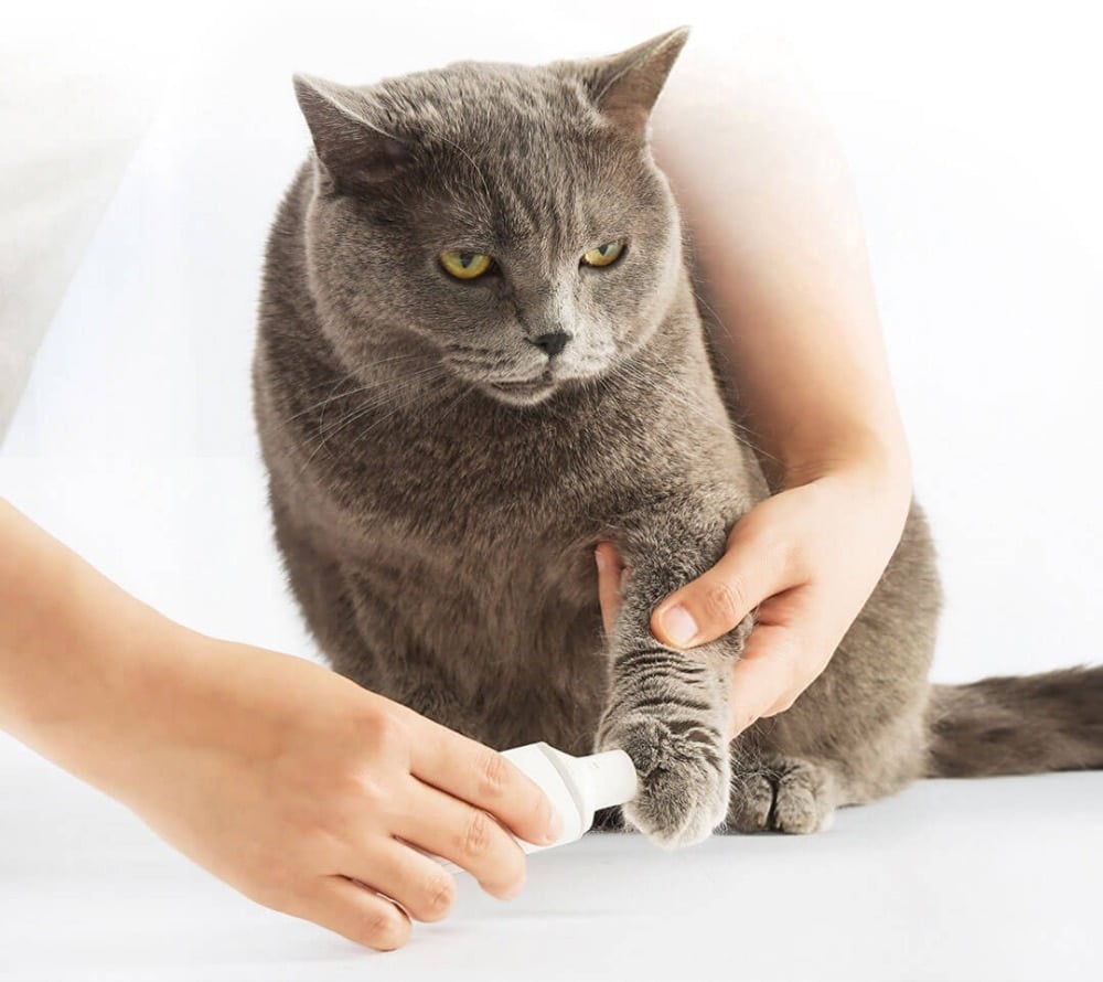 Electric Nail Polisher Image 3