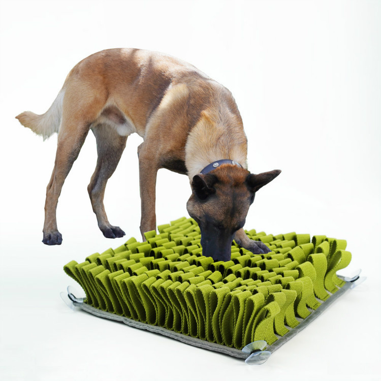 Snuffle Mat
