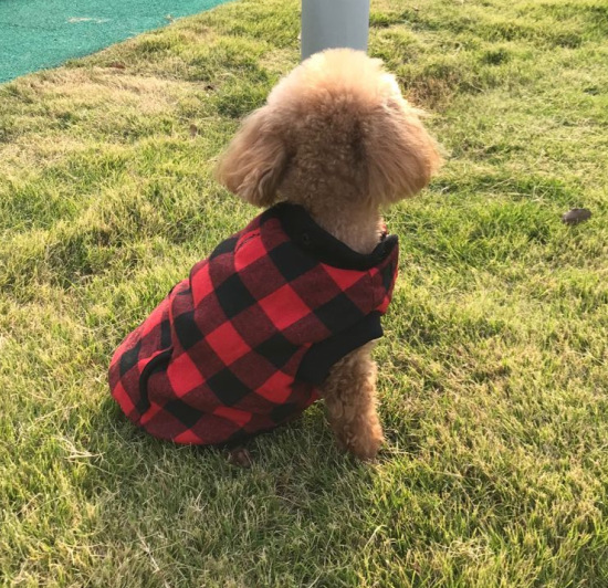 Hooded Dog Vest Image 8