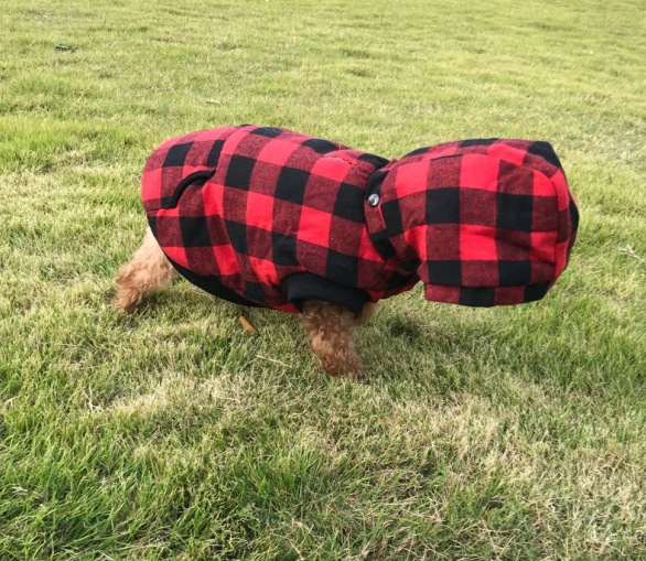 Hooded Dog Vest Image 9