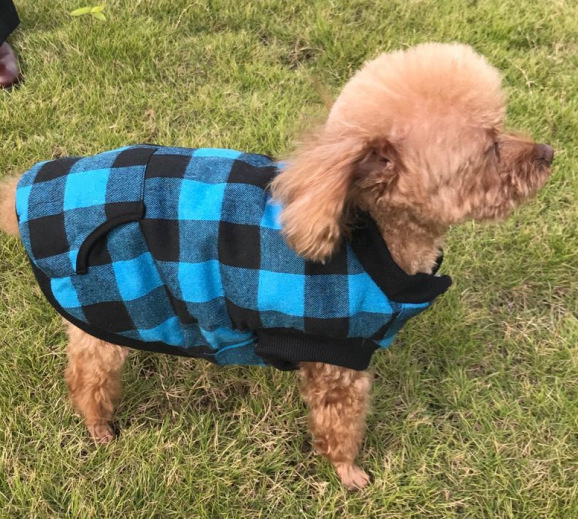 Hooded Dog Vest Image 13