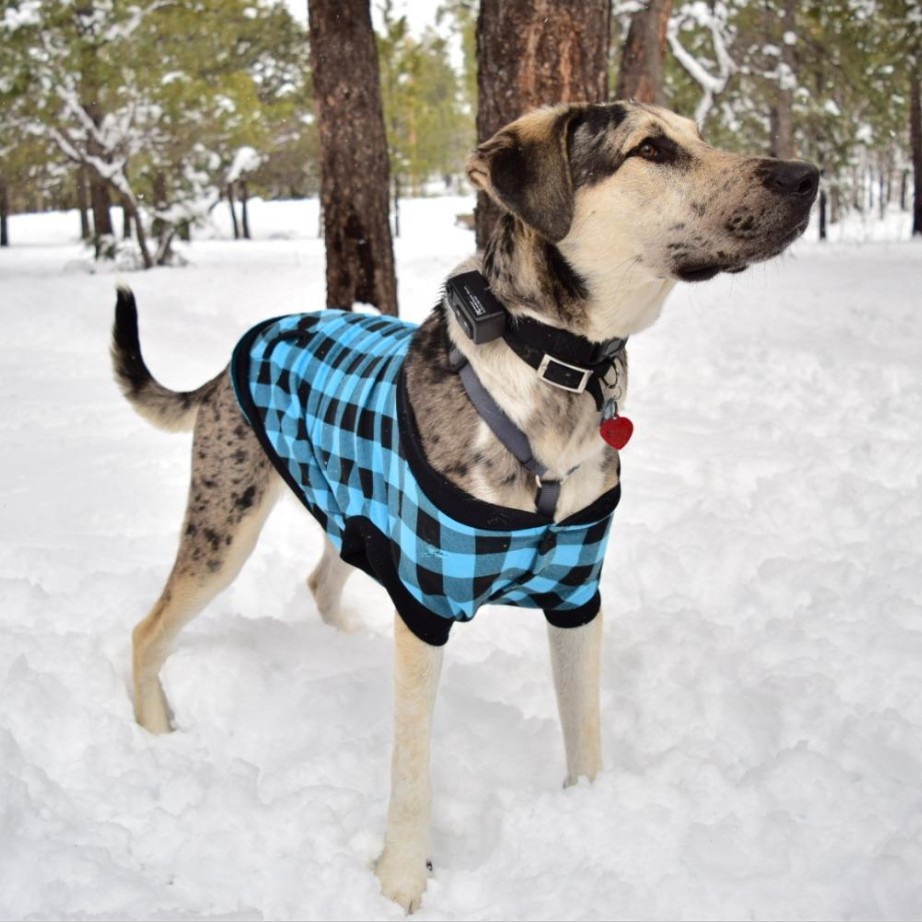 Hooded Dog Vest Image 17