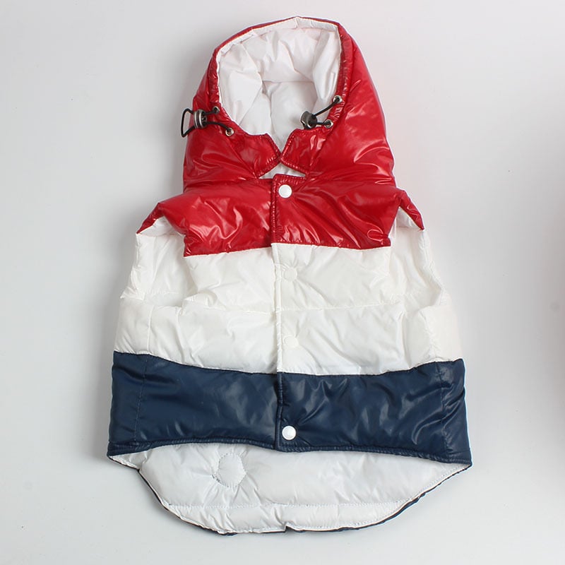 Dog Vest Front View