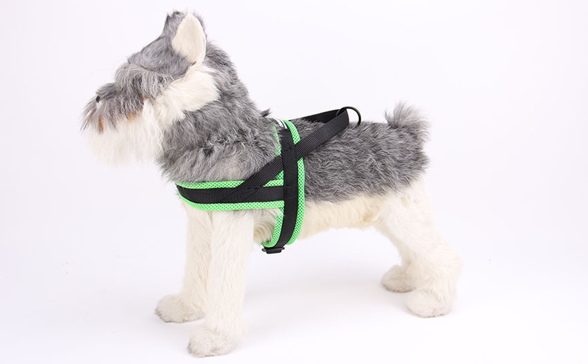 Stylish Pet Harness