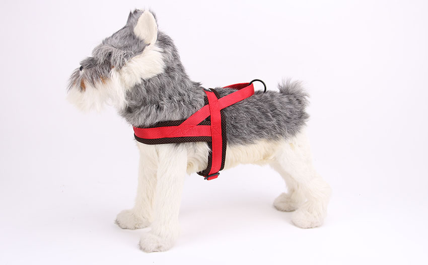 Pet Harness Collection