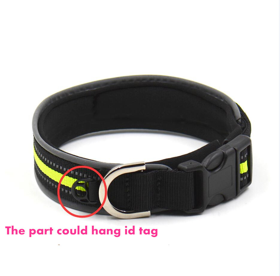 Reflective Collar Image 4