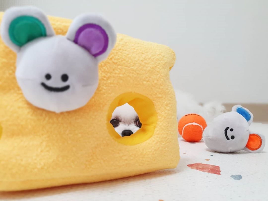 Cheese Mouse Toy 9