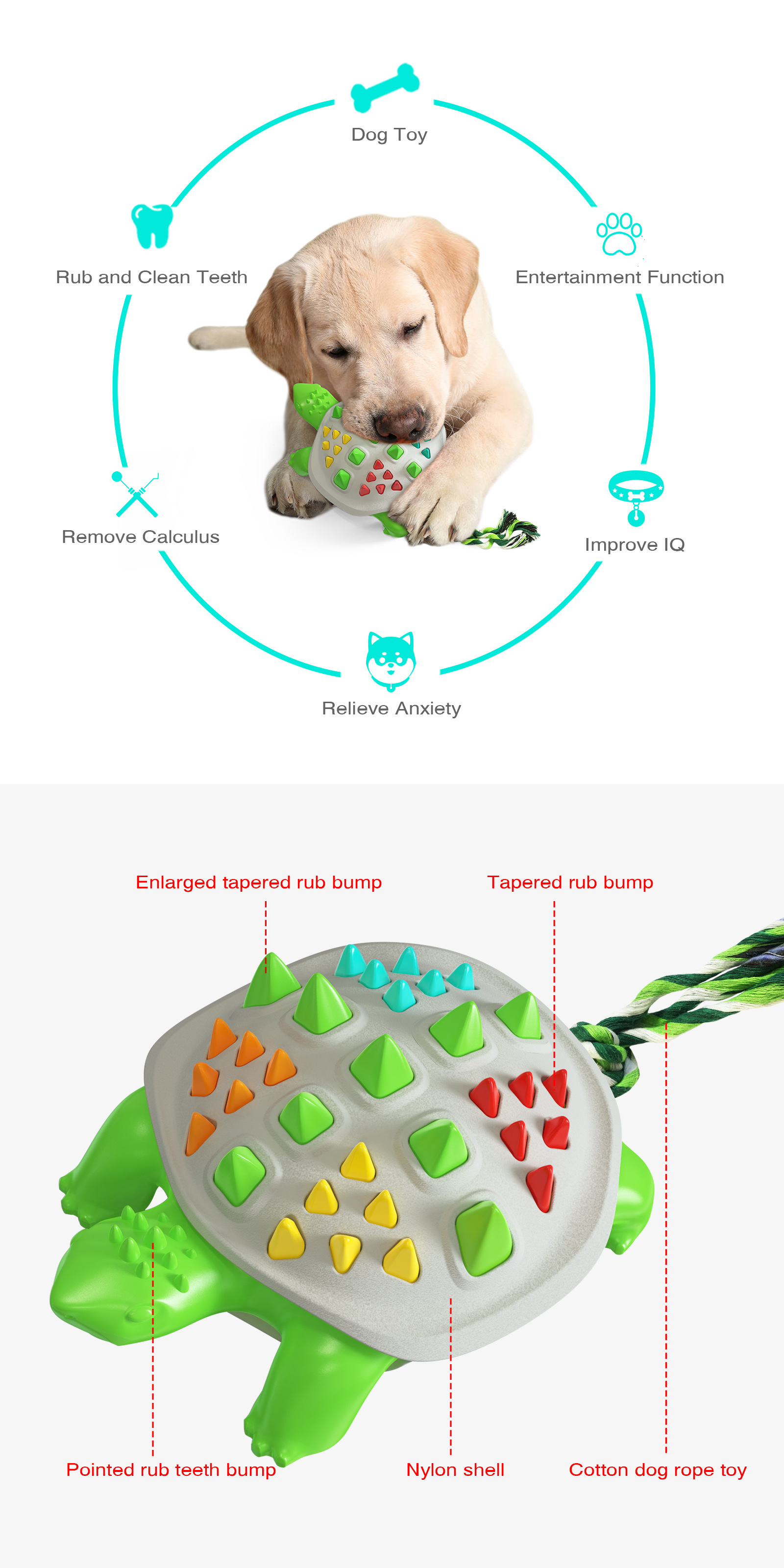 Colorful God Tortoise Dog Molar Stick 2