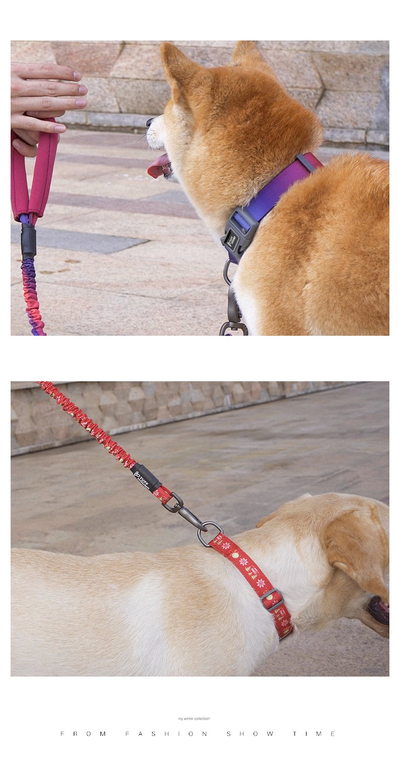 Dog Traction Collar Variations