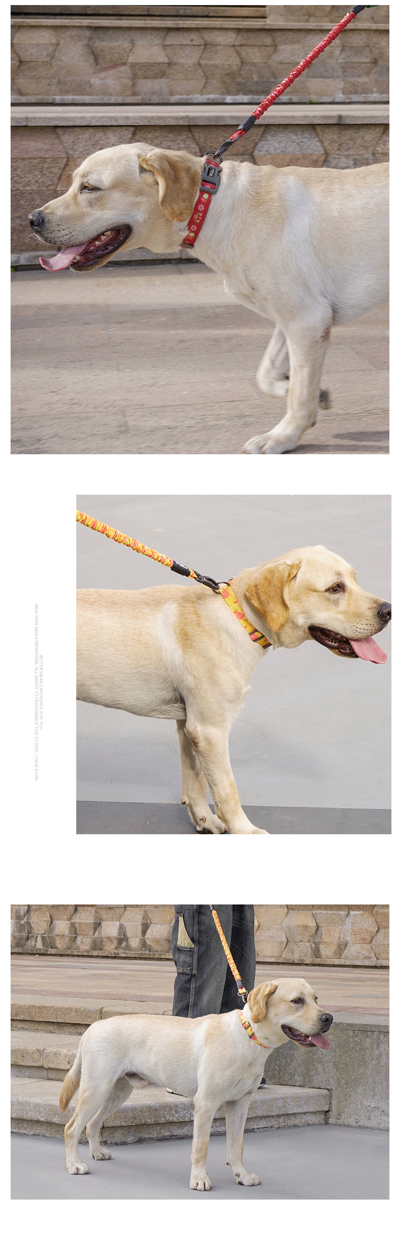 Dog Traction Collar Features