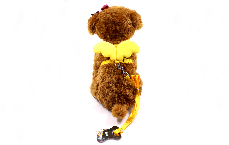 Little Angel Wings Leash 1