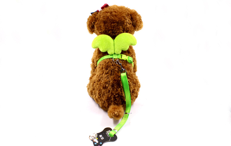 Little Angel Wings Leash 2