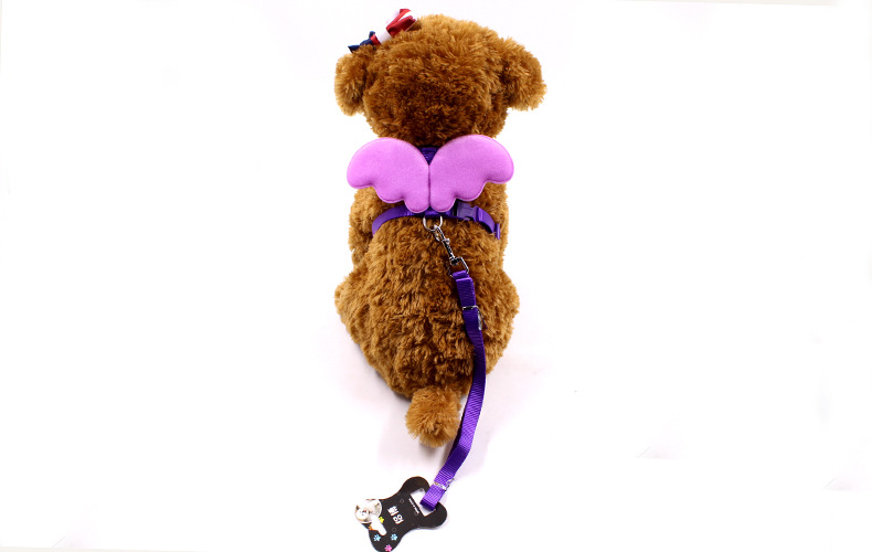 Little Angel Wings Leash 3