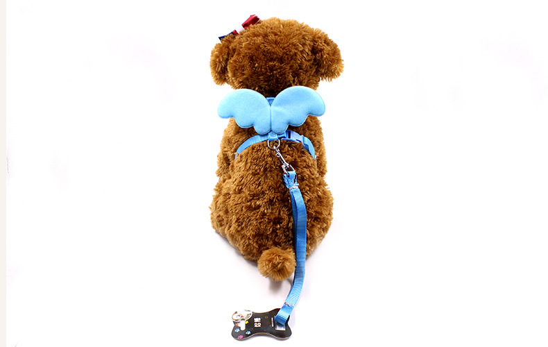 Little Angel Wings Leash 4
