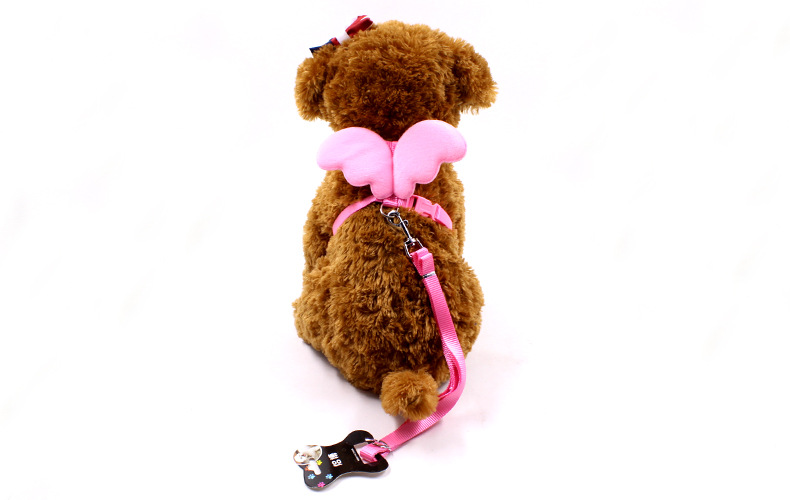 Little Angel Wings Leash 5