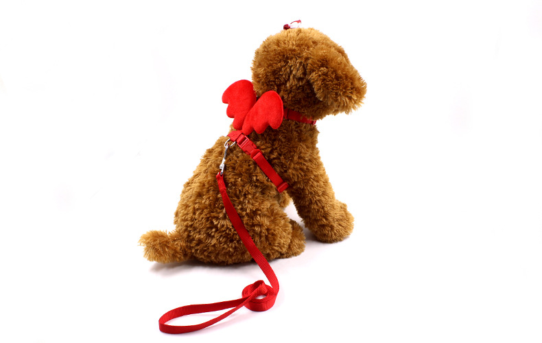 Little Angel Wings Leash 6