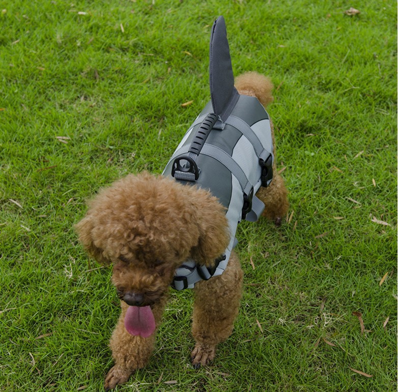 Dog Swimwear