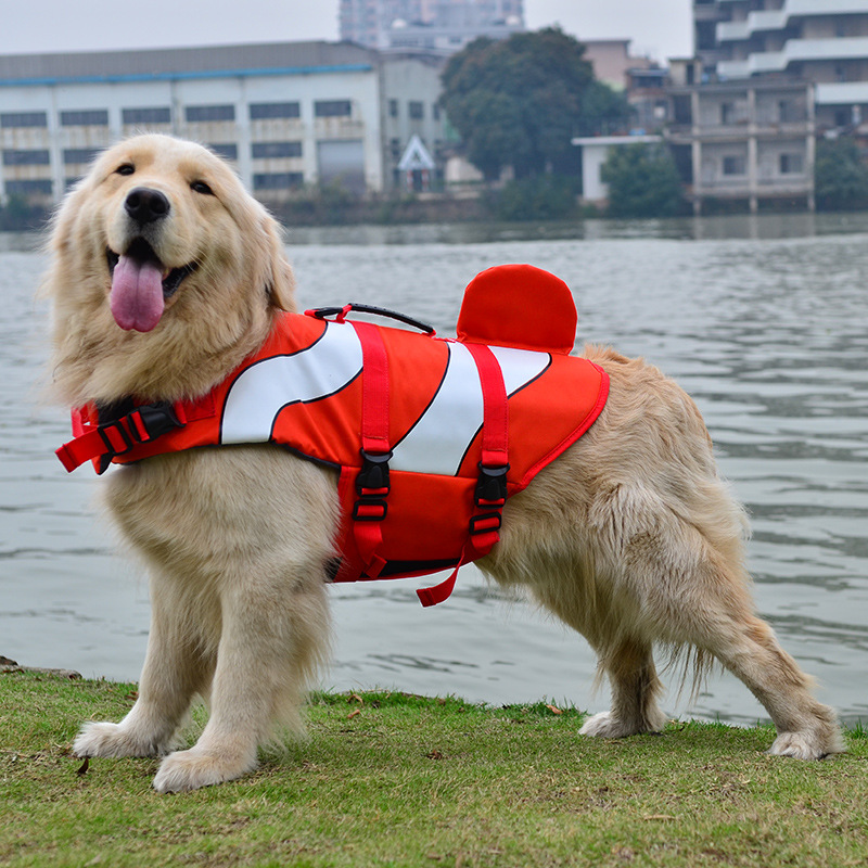 Dog Rescue Kits