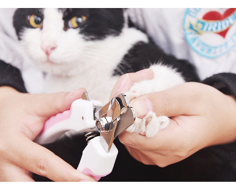 Pet Nail Clippers 4