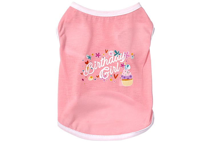 Pet Clothing Image 2