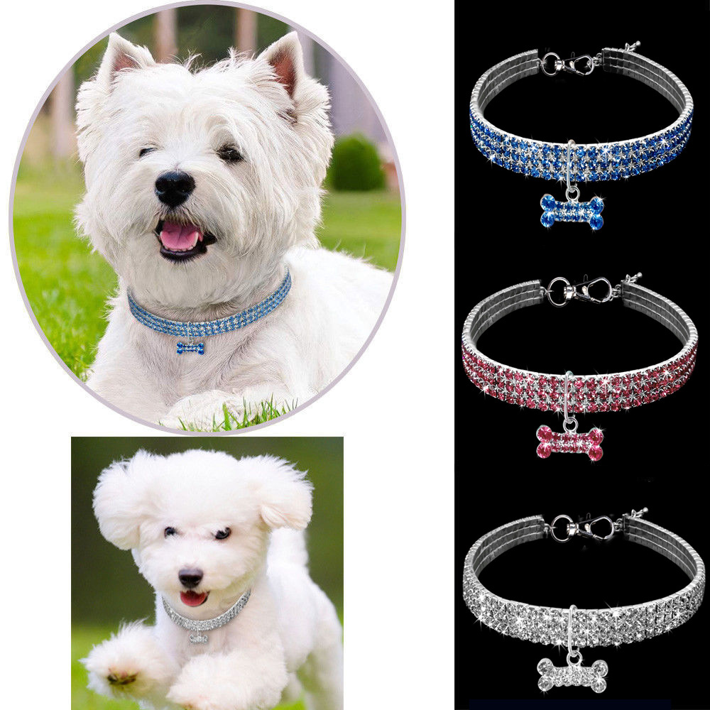 Dog Necklace Image 2