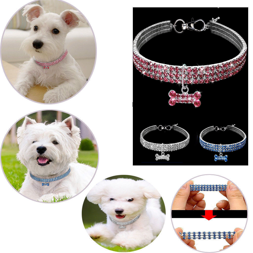 Dog Necklace Image 3