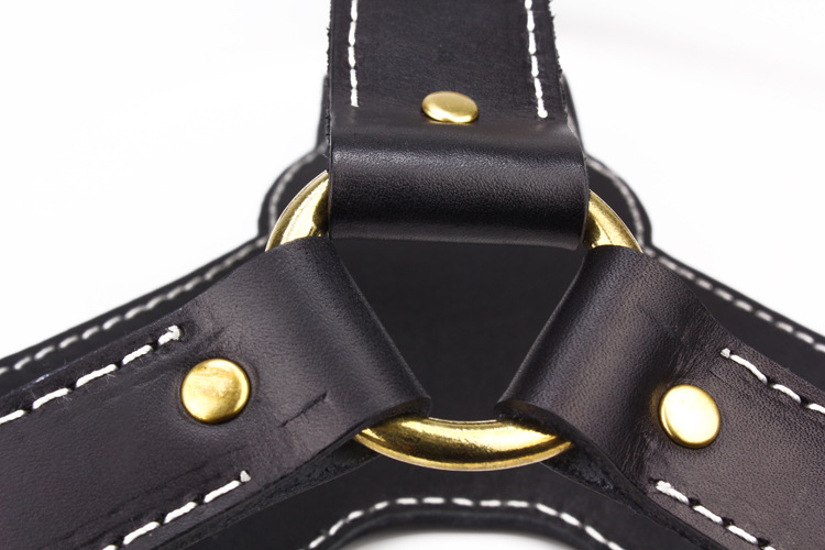 Black Cowhide Pet Leather Chest Strap Image 4
