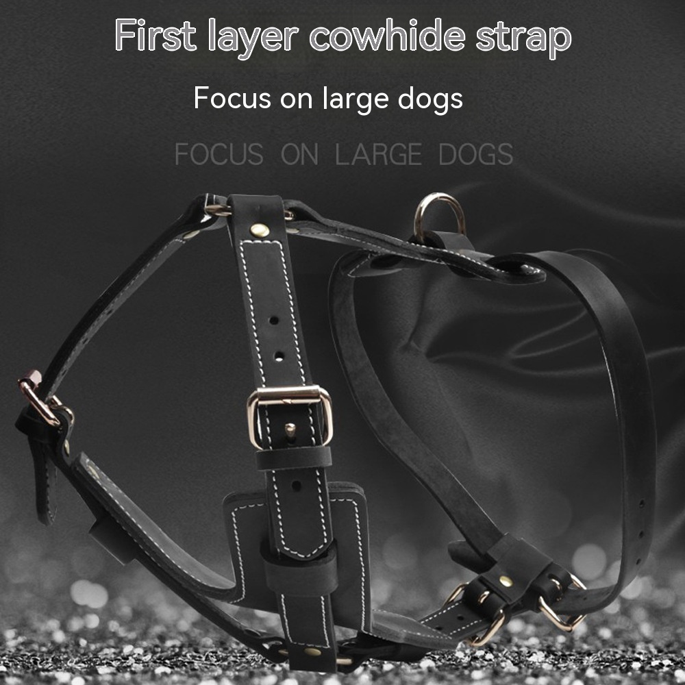 Black Cowhide Pet Leather Chest Strap Image 9
