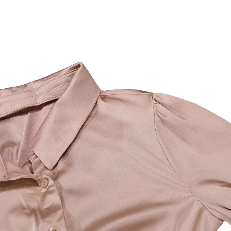 Lapel Dress Image 2