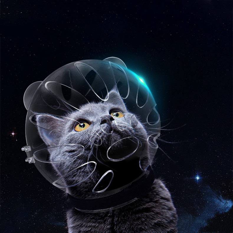 Cat Head Cover Image 1