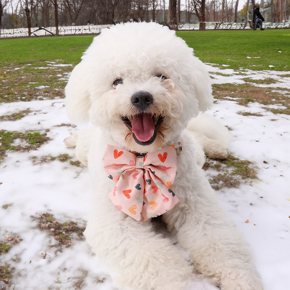 Dog Walking Suit 2